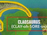 Claosaurus