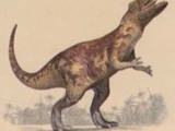 Megalosaurus