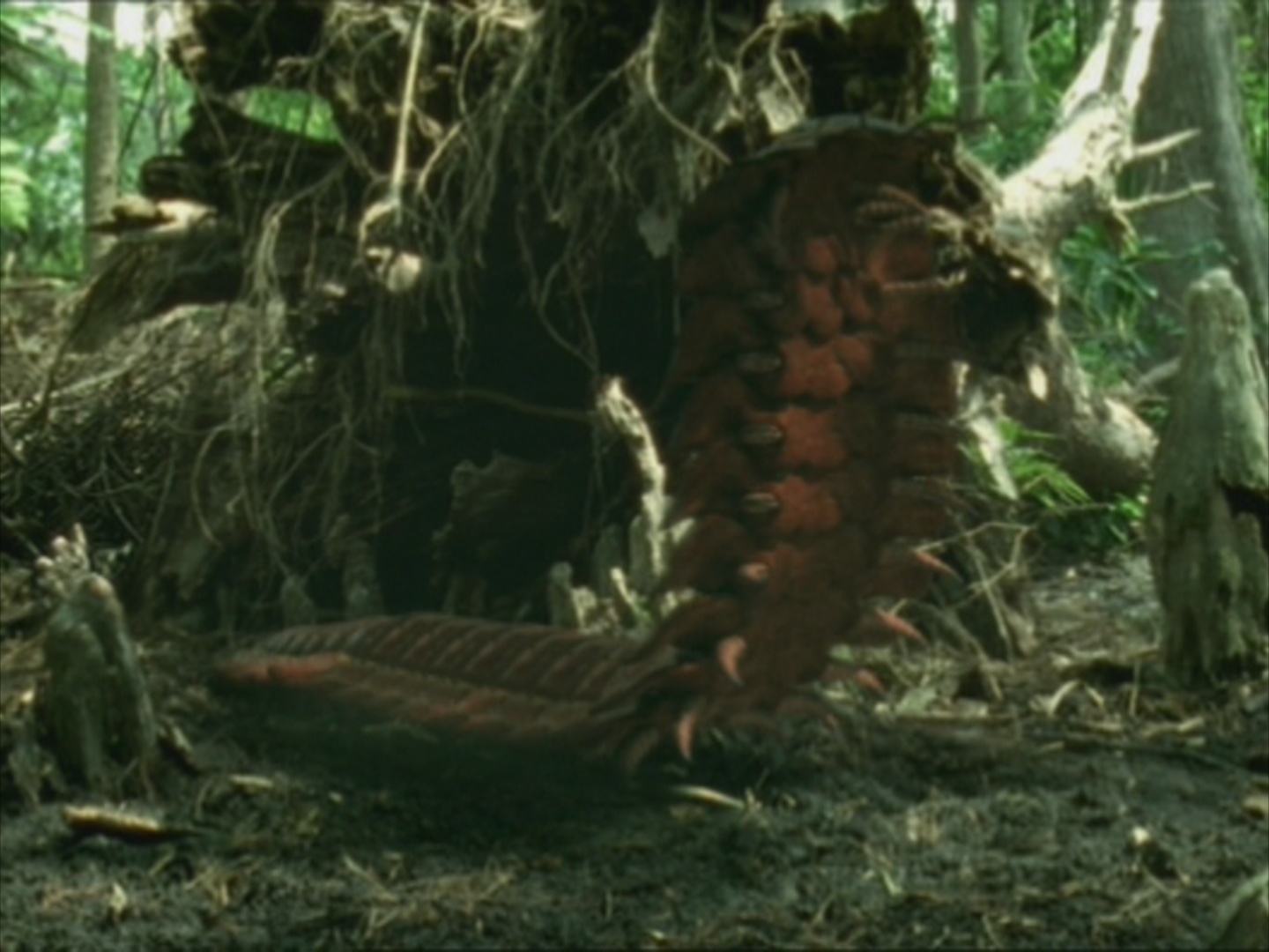 giant millipede prehistoric