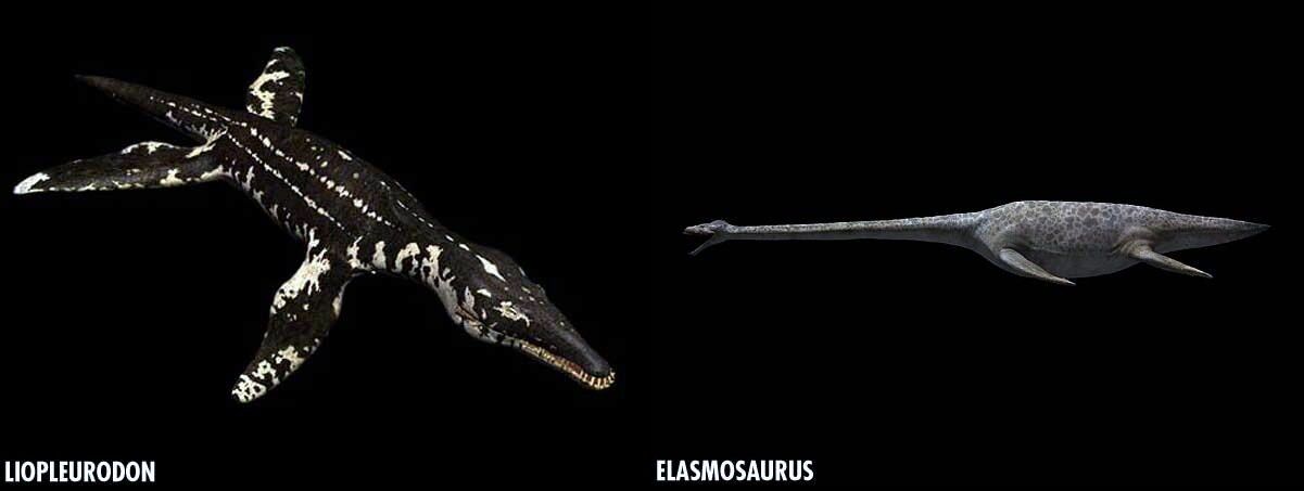 Plesisauridae.jpg