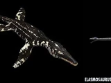 Plesiosaurs