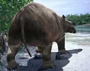 Moeritherium on a tropical beach.