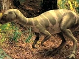 Hypsilophodon