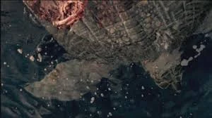 Archelon Walking With Dinosaurs Wiki Fandom