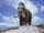 Woolly Mammoth