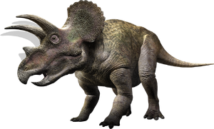 Triceratops WWD