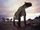 Ancylotherium