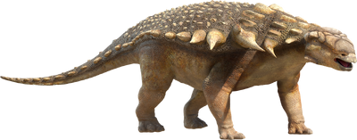 Ankylosaur