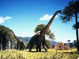 Brachiosaurus