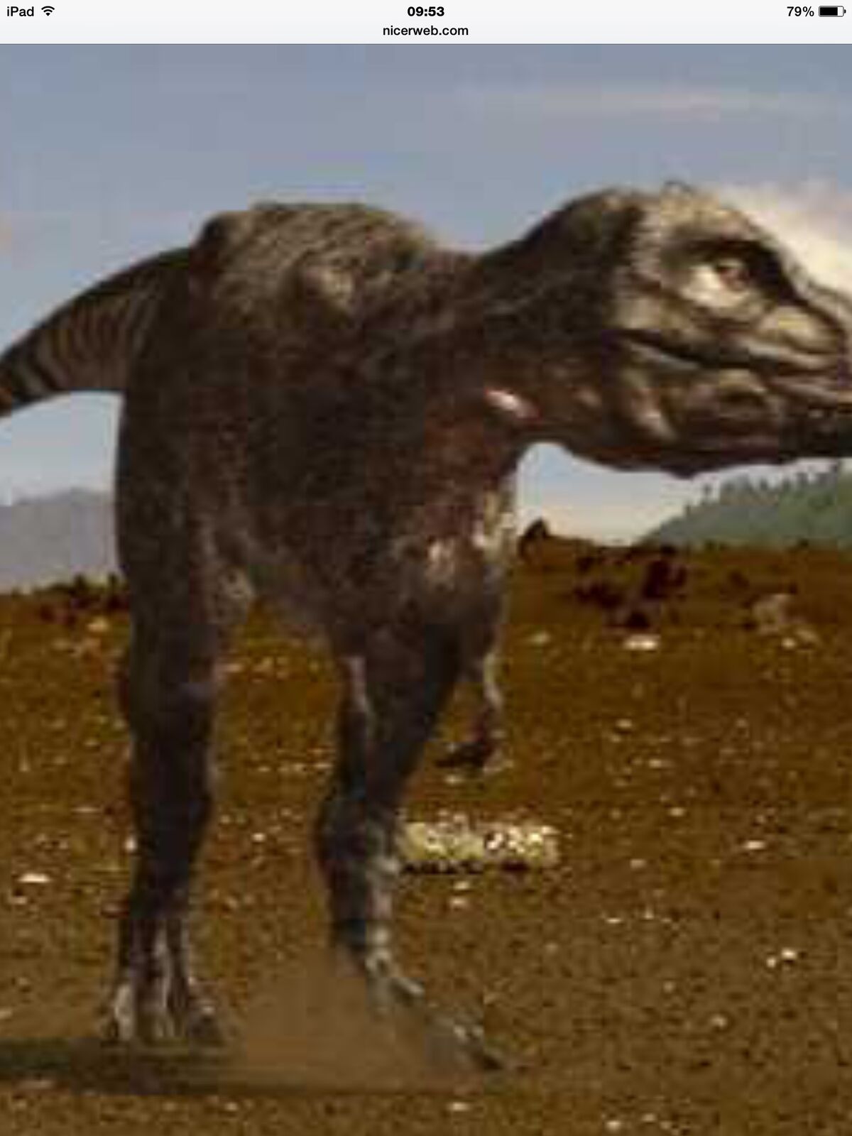 Tyrannosaurus rex/Gallery Walking with Dinosaurs Wiki Fandom