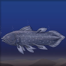 Coelacanth | Walking with Dinosaurs Wiki | Fandom