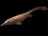 Tylosaurus