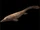 Tylosaurus