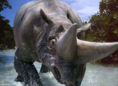 Arsinoitherium