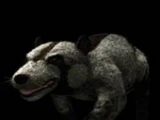 Didelphodon