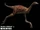 Mononykus