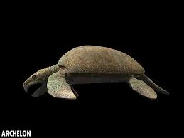 Archelon Walking With Dinosaurs Wiki Fandom