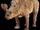 Embolotherium