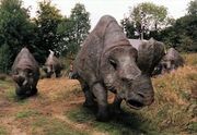 Embolotherium1