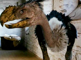 Terror Bird (Primeval)