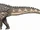 Ampelosaurus