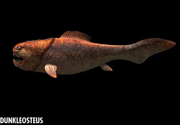 Ocean predator I just discovered. Reminds me of dunkleosteus in a