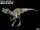 Ornitholestes