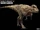 Tarbosaurus