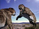 Smilodon