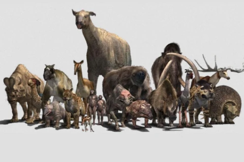 Walking with... Wiki