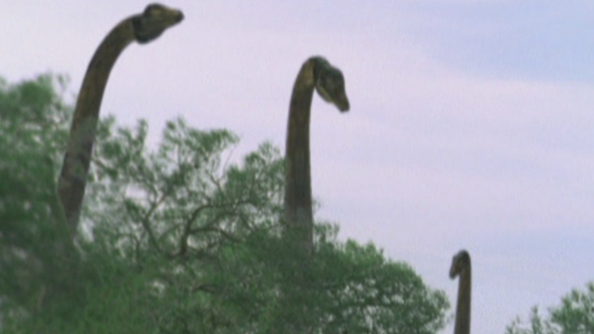 Sauropod swimmers or walkers?