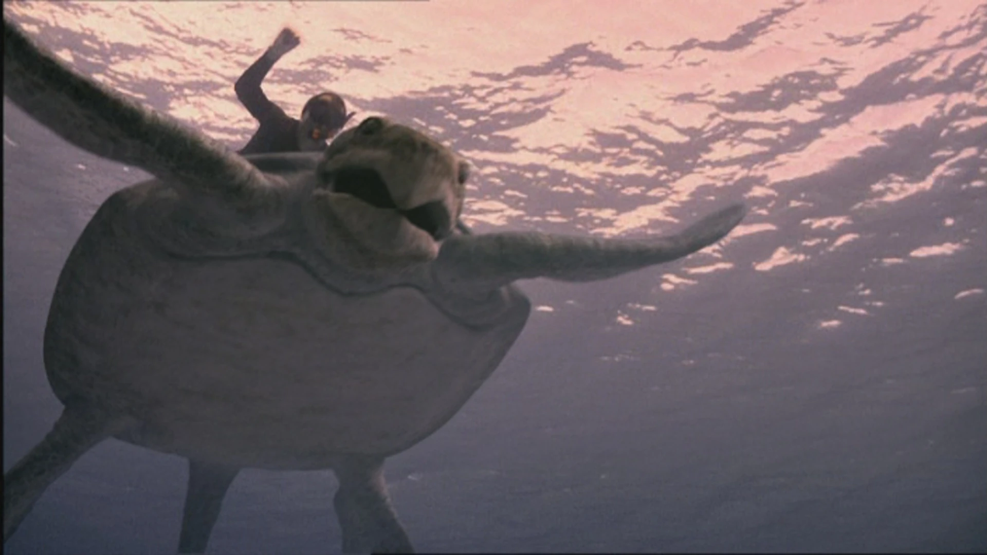 Archelon Walking With Trilogy Wiki Fandom