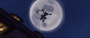 Cooper8.png