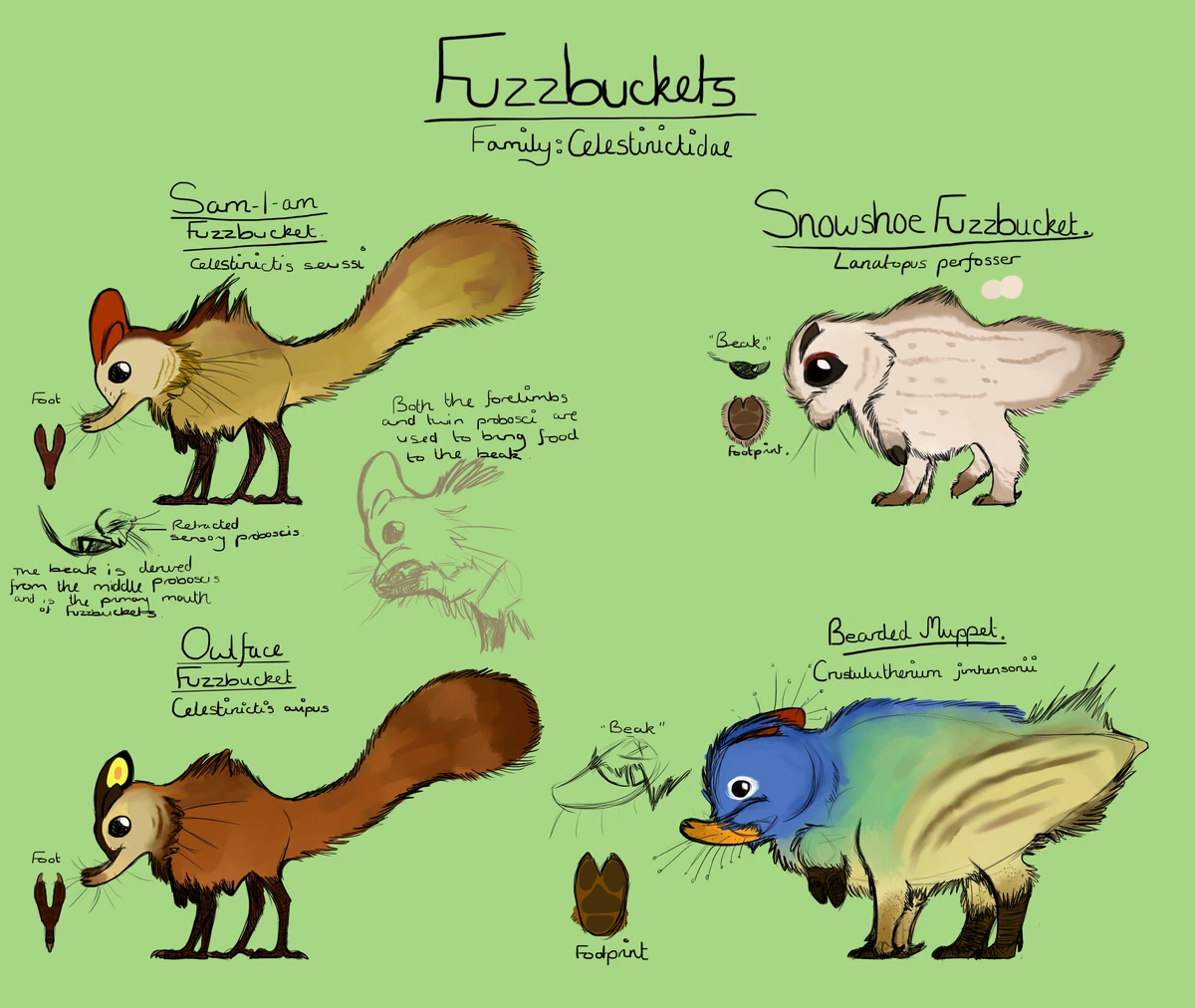 Fuzzbuckets Wallace II Ben G Thomas Wiki Fandom