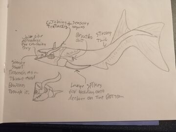 Oris wiki 2025