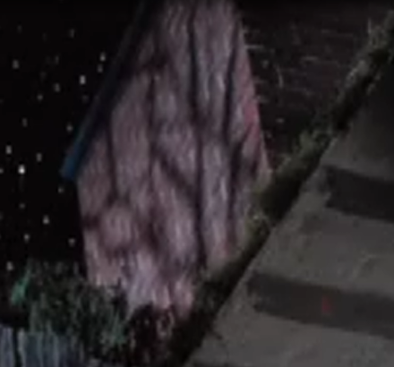 House.png