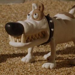 Bob wallace dogs hotsell