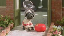 Shaun-cc-shopper-1.jpg