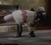 Shaun
