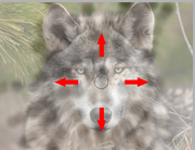 Tutorial fur flow phase direction