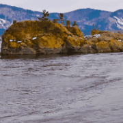 Water flow.gif