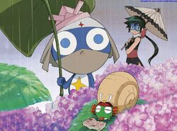 Sgt Frog Wallpapers Wallpapers Wiki Fandom Sgt Frog Wallpapers Wallpapers Wiki Fandom