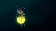 Ray