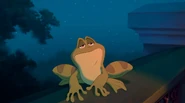 Frog Naveen