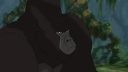Kerchak