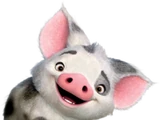 Pua