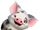 Pua