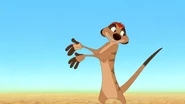 Timon