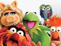 The Muppets