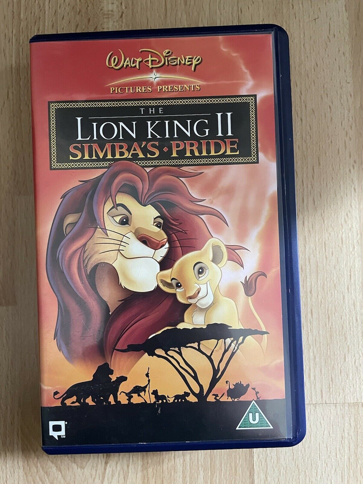 18699811570_1